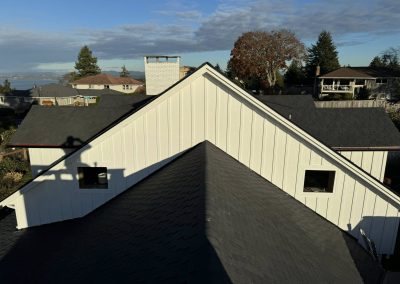 exterior painting and roofing