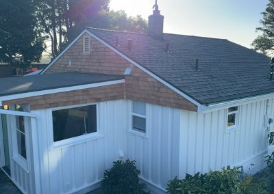exterior painting and roofing